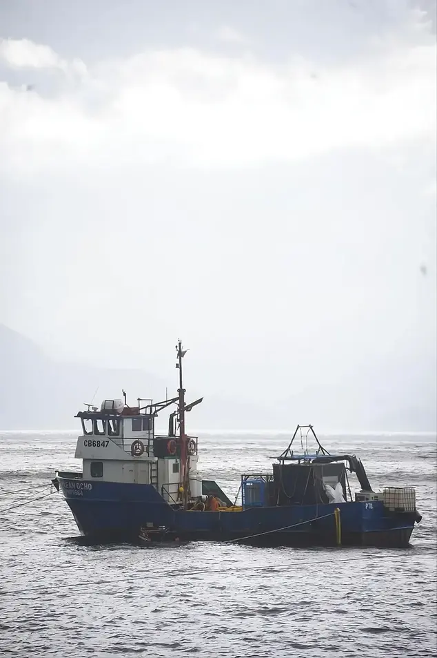 Embarcación AustralRov operando en el sur de Chile